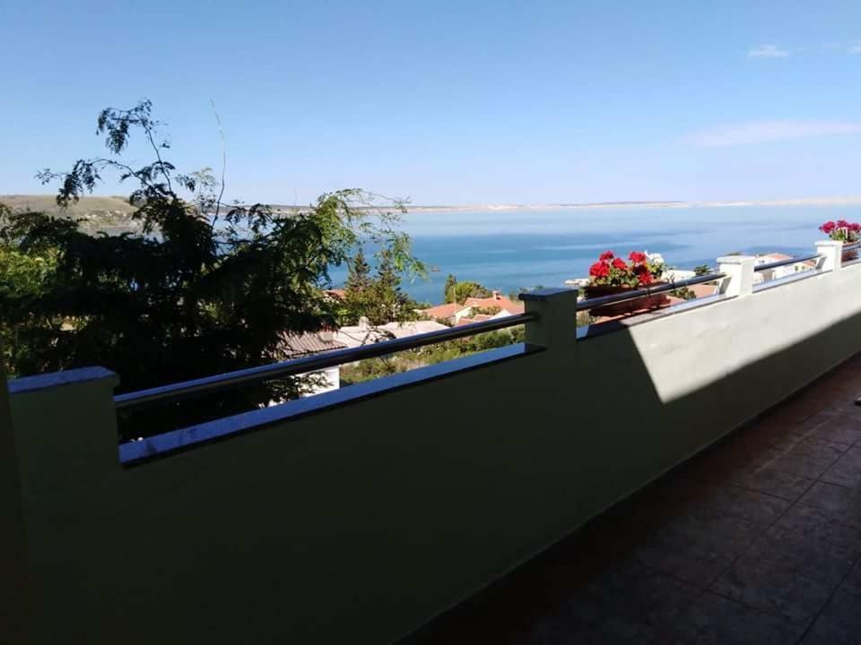 Miocic Apartment